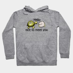 Hello nice to meet you (turtle) Hoodie